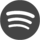 spotify icon