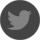 twitter icon